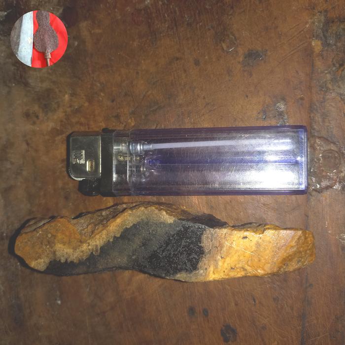 batu fosil kayu kelor bertuah