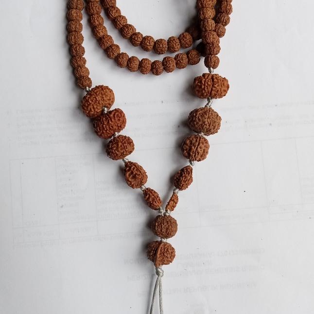 Rudraksh Rudraksha 1 to 10 Mukhi Beads GANESHA Mala Genuine Necklace S