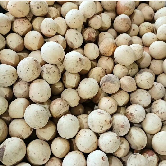 dukuh palembang/duku palembang 1kg