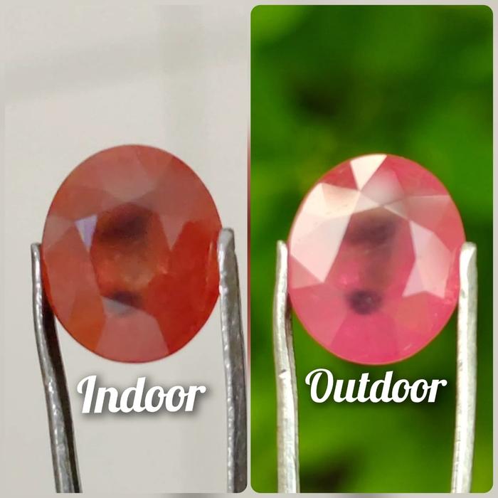 Natural Bicolor Sapphire 5.44 Carats Sertipikat Warna Antik