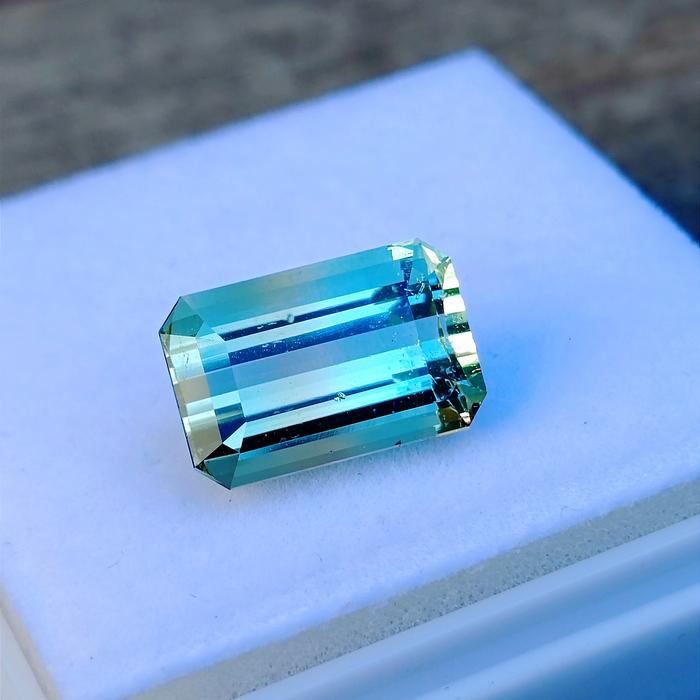 Bicolor Tourmaline 11 16ct