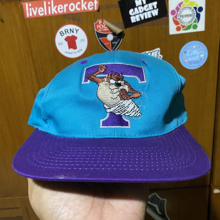 Looney tunes vintage taz mania 6 panel cap
