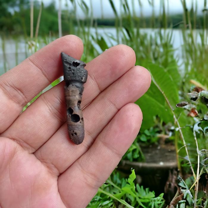 ageman kuda laut temuan