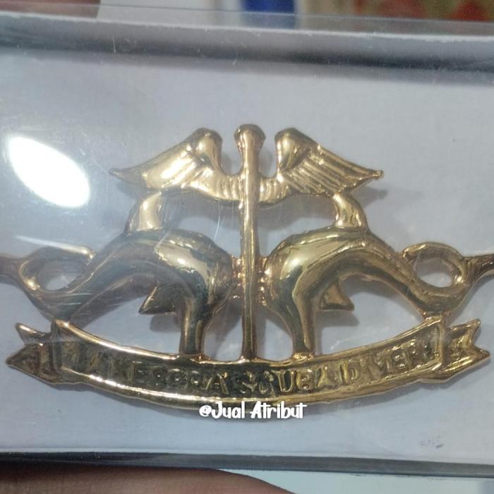 Brevet wing Lakespra Scuba Diver
