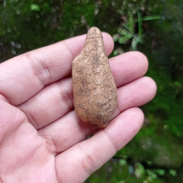 ageman sarutomo temuan langkah