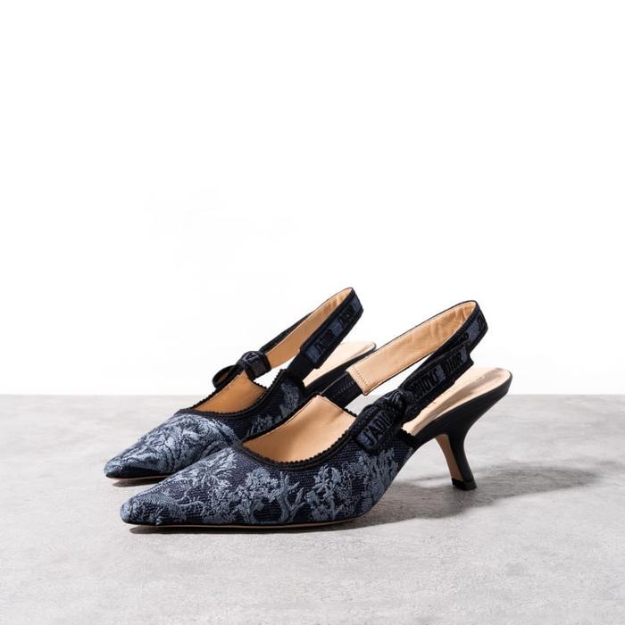 DIOR Jadior kitten heels Toile de Jouy Sauvage Motif Blue Denim Multi