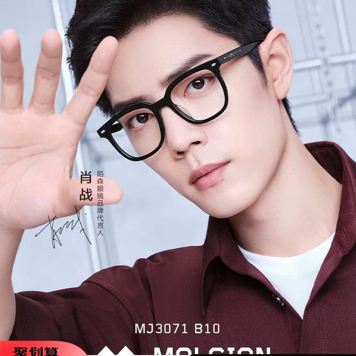 Kacamata Molsion MJ3071 Xiao zhan Glasses Molsion