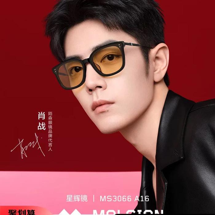 Kacamata Molsion MS3066 Xiao zhan Molsion