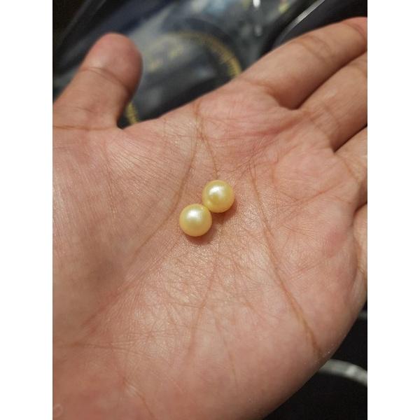 sepasang mutiara laut | butiran mutiara laut gold
