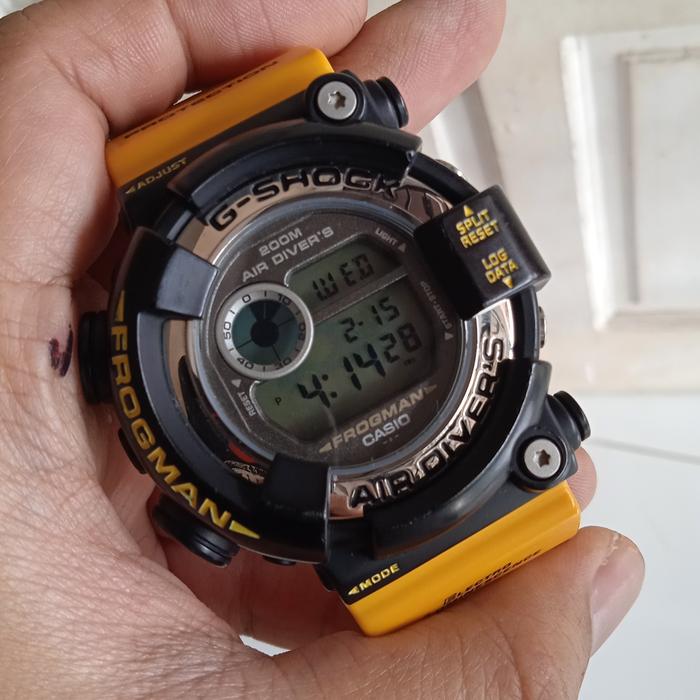 G-Shock frogman dw8250 dw8200