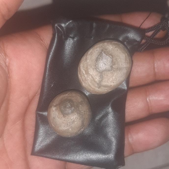 sepasang batu mustika bntat raja keong yg aneh sangattt langka bangett