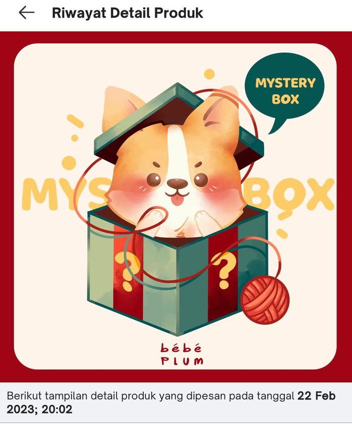 Bebe Plum Mystery Box