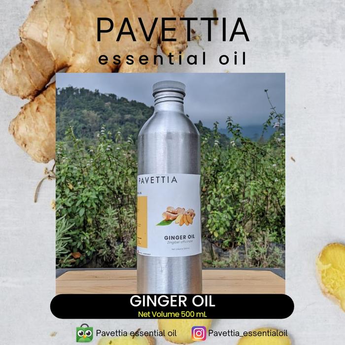 500 ml - minyak atsiri jahe / ginger oil