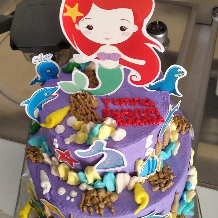 kue ultah / ulang tahun mermaid / putri duyung 2 tingkat