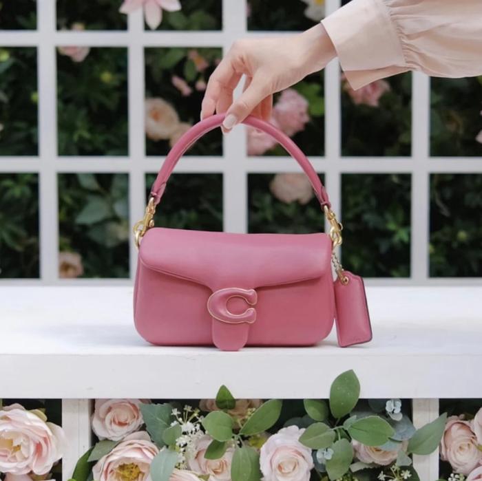 C3880 Pillow Tabby Shoulder Bag 18 Rogue CCH