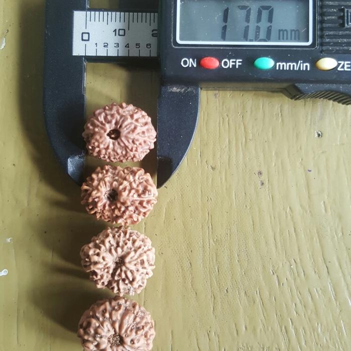 Rudraksha mukhi 11 super
