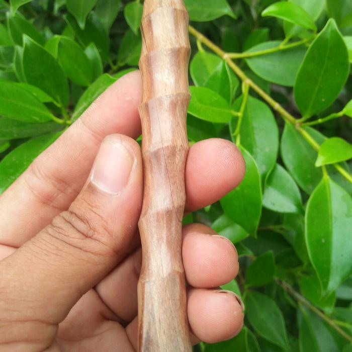 once cangklong kayu nagasari putih
