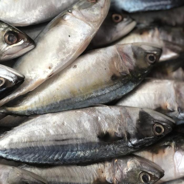 kembung banjar froozen