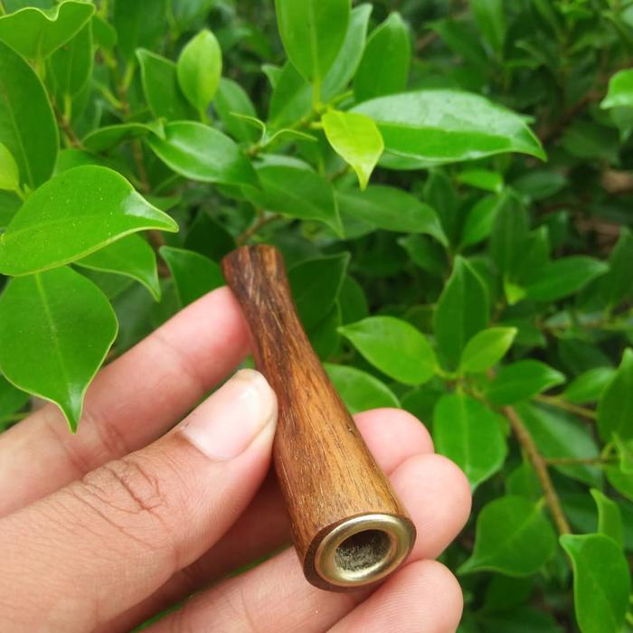 once kayu gaharu buaya