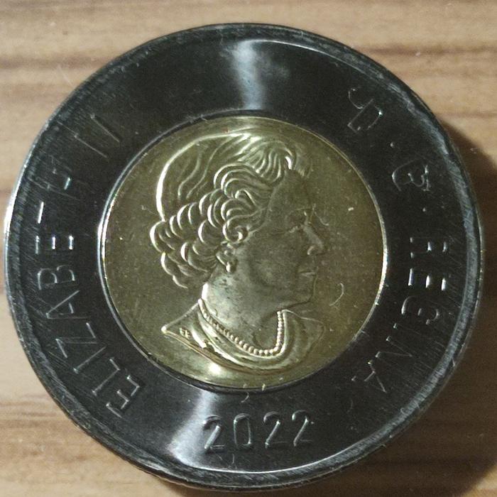 Black coin queen Elizabeth canada 2022