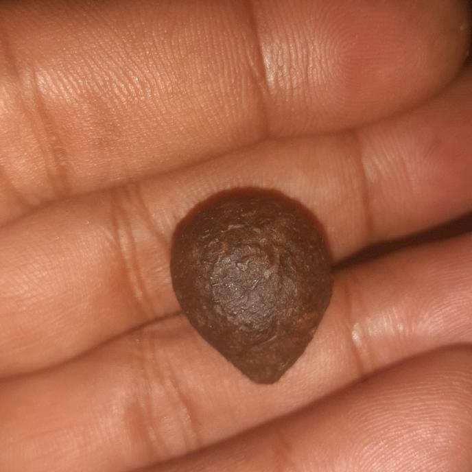 batu mustika pinang dulu ditemukan dlm buah pinang sangattt langka