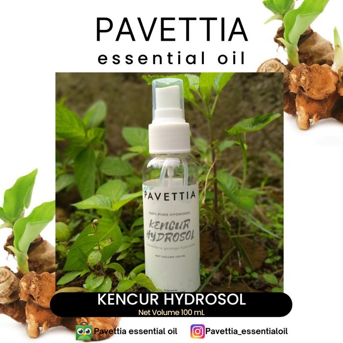 Sampel 100 ml - Kencur hydrosol - hidrosol kencur