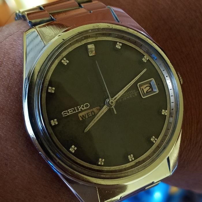 seiko anjing laut mulus