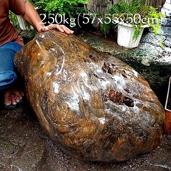 batu hias fosil kayu galih/badar asem kristal(96)