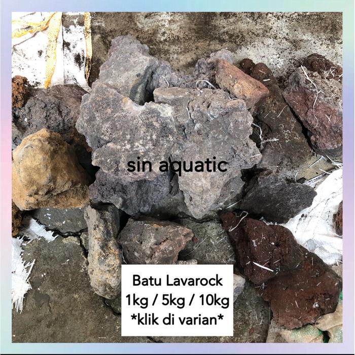 Batu Lavarock 1 Kg Hiasan Aquascape Aquarium Hardscape