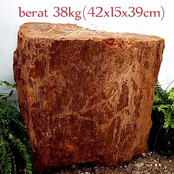 batu fosil kayu galih kelor merah suiseki/biseki(121)