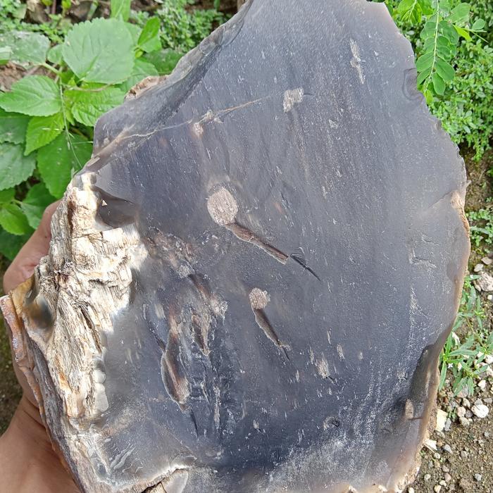 2,6 Kg Batu Solar Bengkulu ( Rough Bahan Batu Akik - bukan Bacan )