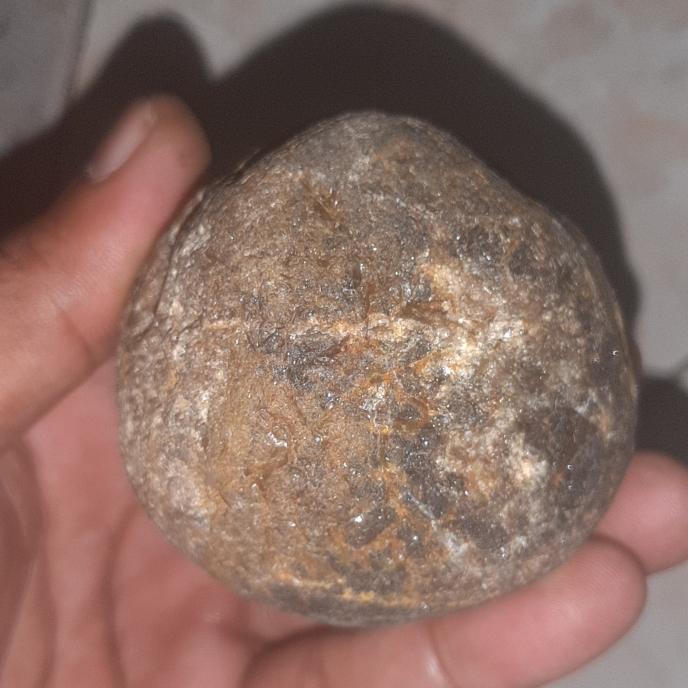 mustika batu mustika bntat rajanya mustika ktilayu