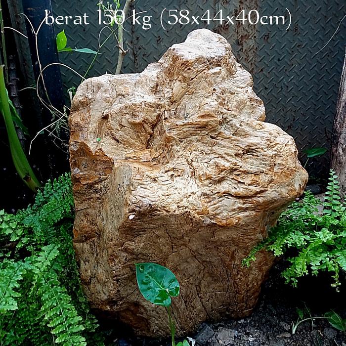 batu hias fosil kayu cendana (129)