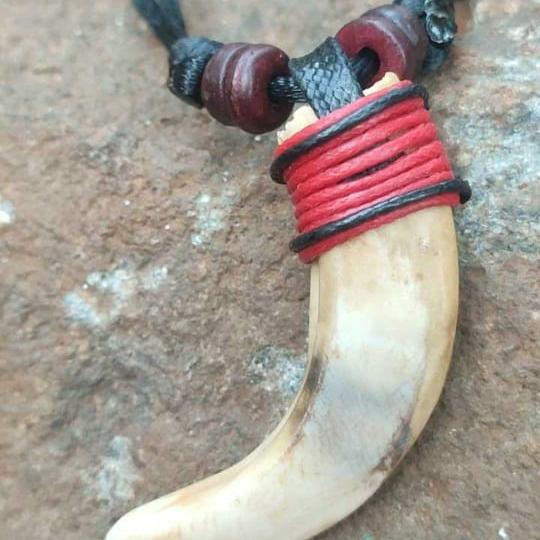 LIONTIN TARING BABI ORI GARANSI SEUMUR HIDUP