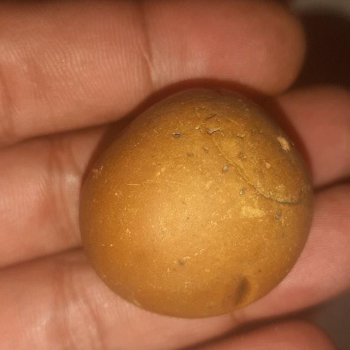 batu mustika bntat keong kuul