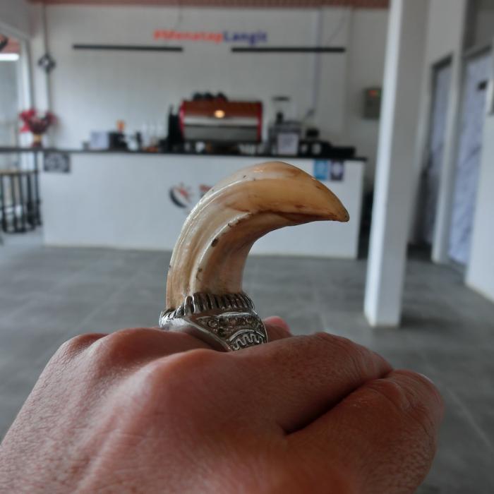 CINCIN ANTIK KUKU BIMA