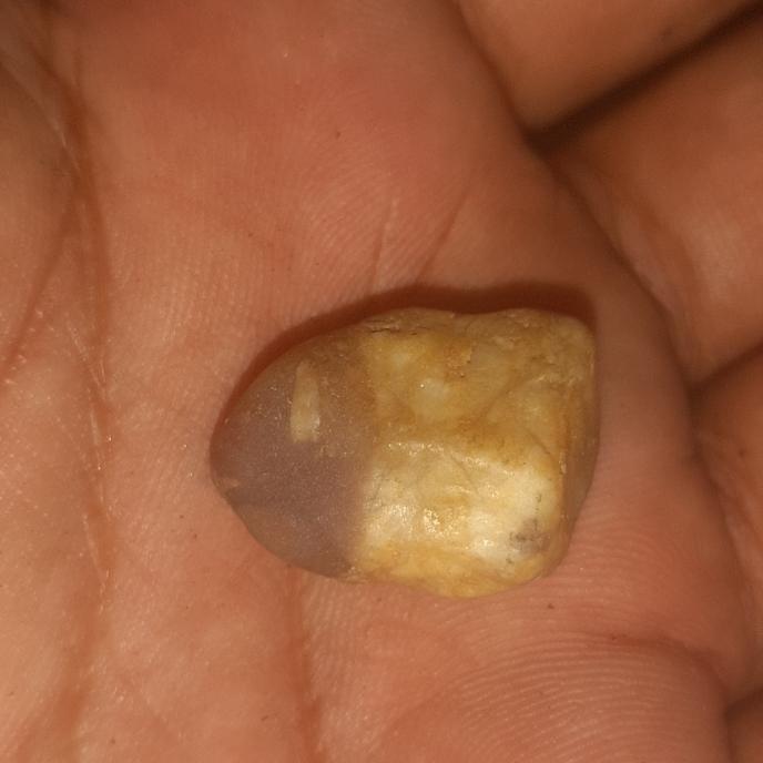 batu mustika ikan gbus langka banget