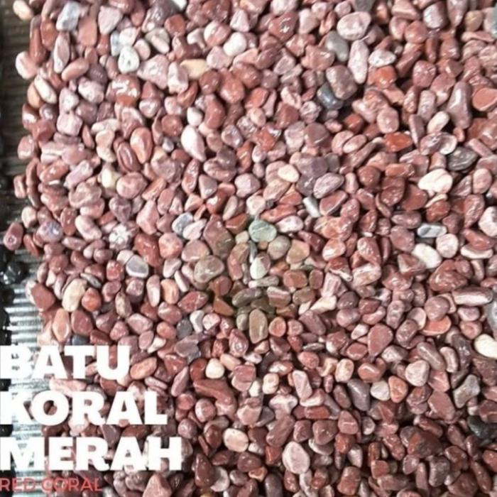 BATU KORAL MERAH