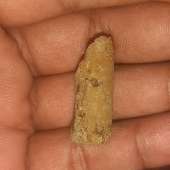 batu mustika bambu btung