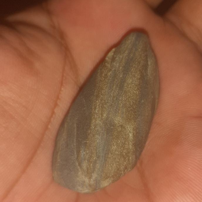 batu mustika kejadugan alas prwo
