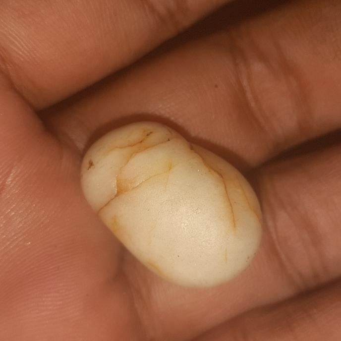 batu mustika ikan pari langka