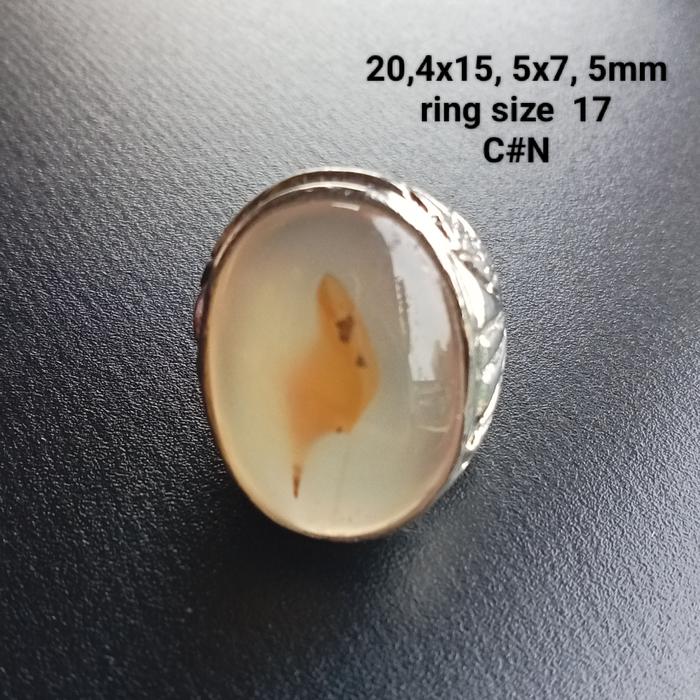 batu natural gambar burung kenari