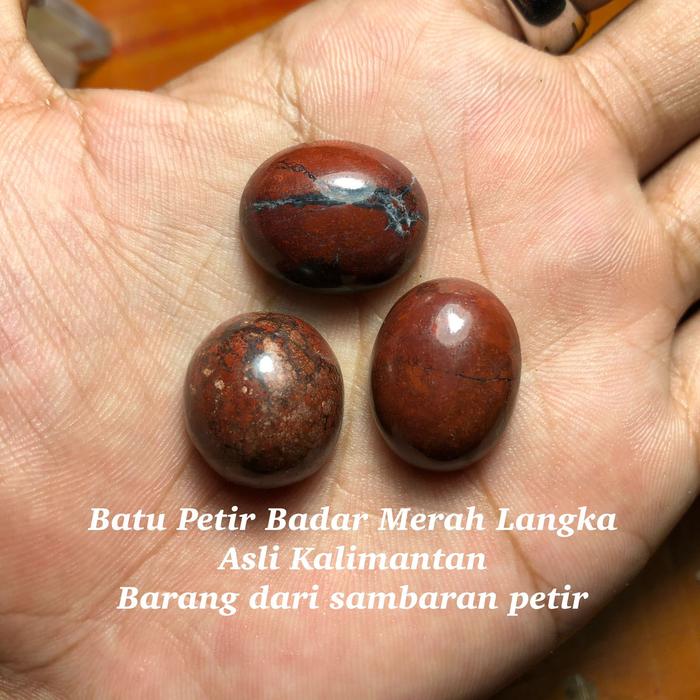 Batu Petir Badar Merah Langka dari Kalimantan
