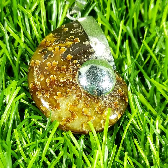 Liontin Sutured Ammonite From Madagascar - Liontin Fosil FSL-145