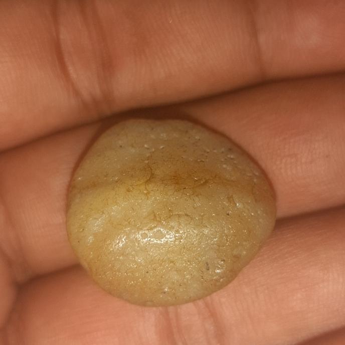 batu mustika ikan dyung