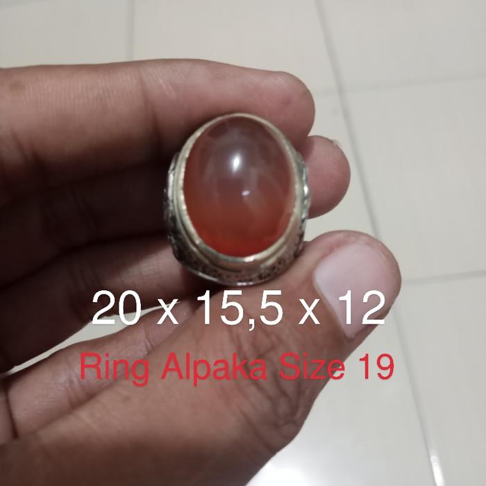 Bacan Obi nucleus 020