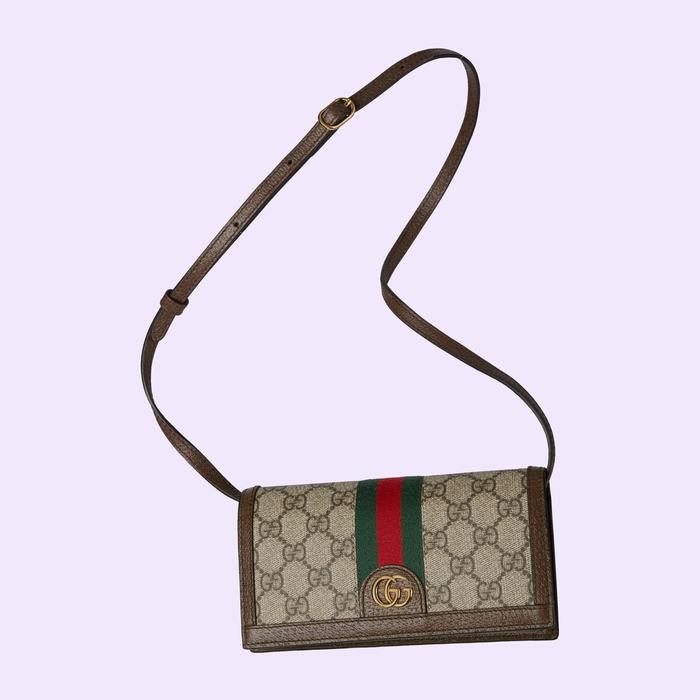gucci Ophidia GG mini bag