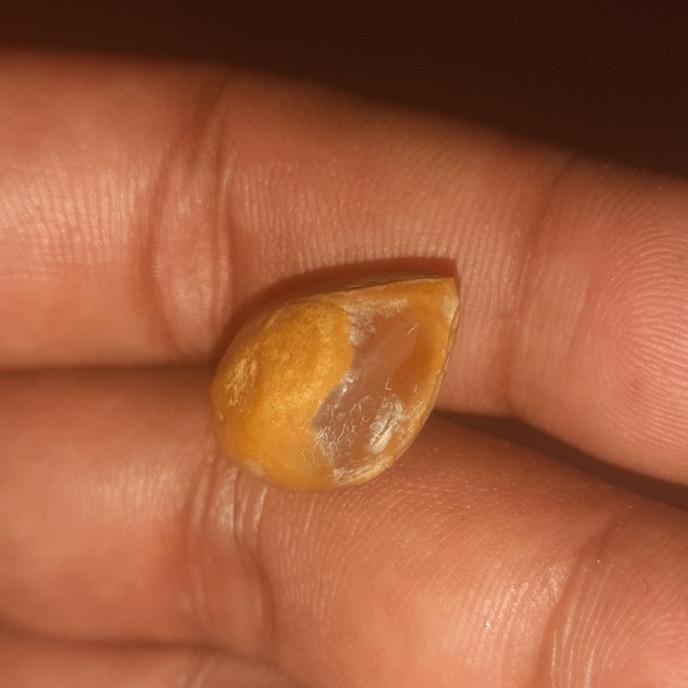 batu mustika sawo dulu ditemukan dlm buah sawo antik langka