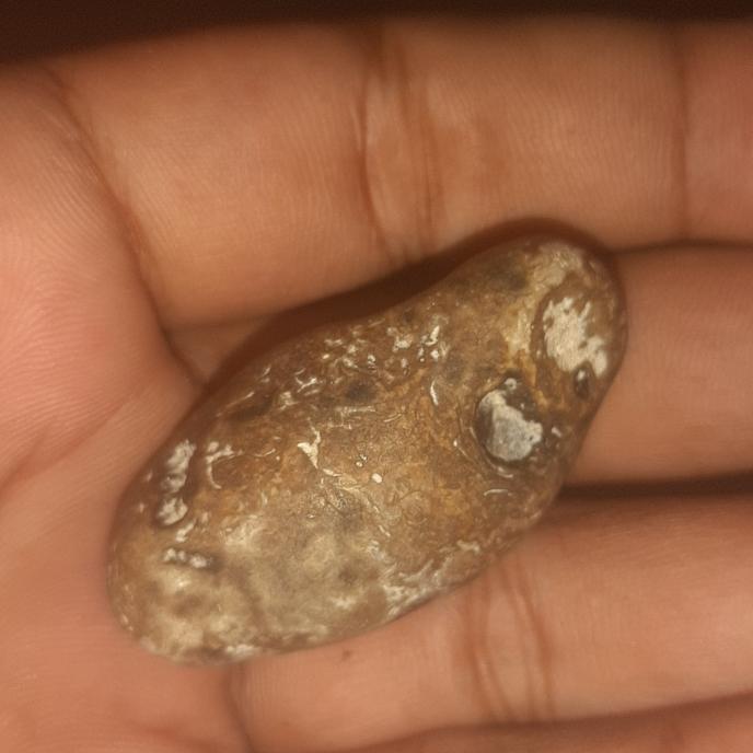 batu jenis mustika ditemukan dlm kpompong