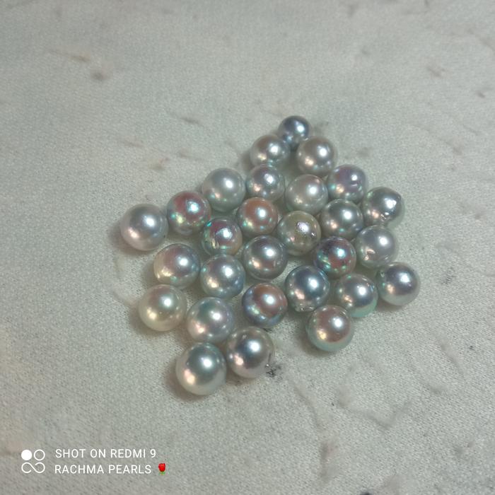 akoya pearl mutiara laut akoya setelan anting giwang mutiara lombok